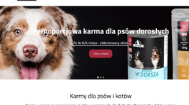YourDog